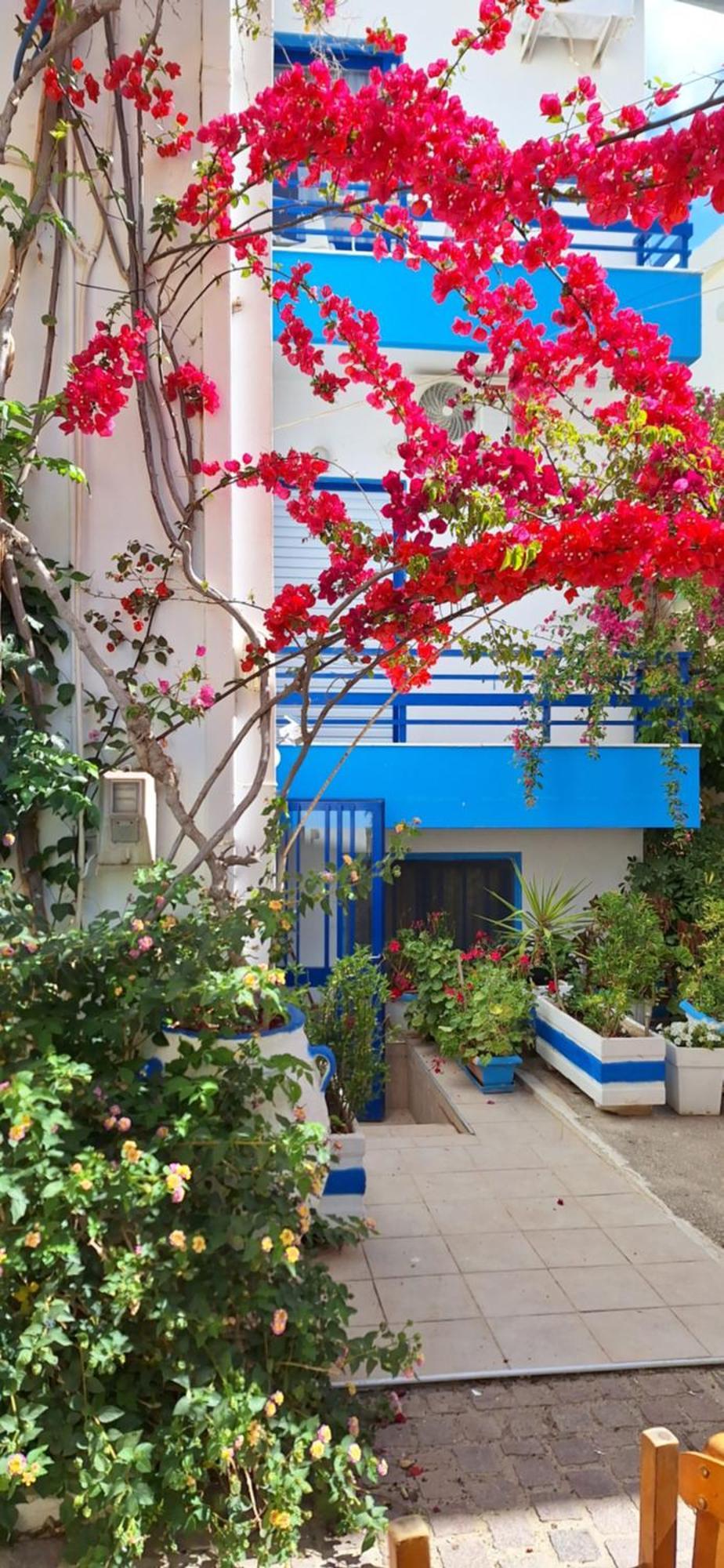 Apartament Blue Sky Palaiochora Zewnętrze zdjęcie